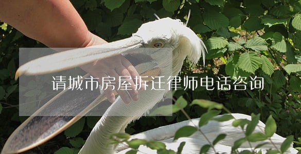 请城市房屋拆迁律师电话咨询 请城市房屋拆迁律师电话咨询