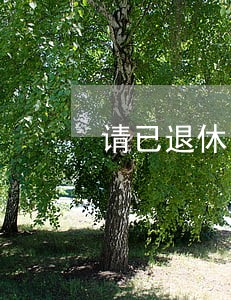 请已退休的人是违法吗 请已退休的人是违法吗