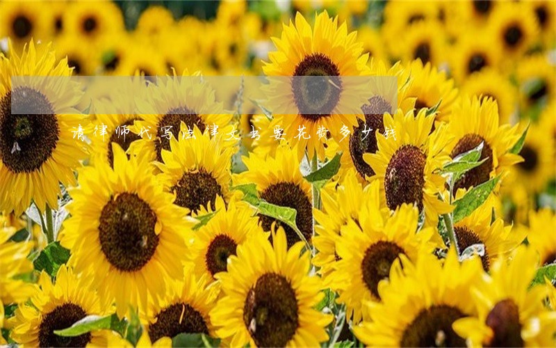 请律师代写法律文书要花费多少钱 请律师代写法律文书要花费多少钱