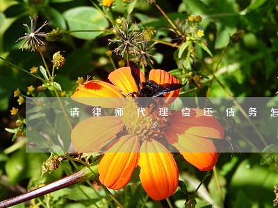 请律师代理偿还债务怎么收费 请律师代理偿还债务怎么收费