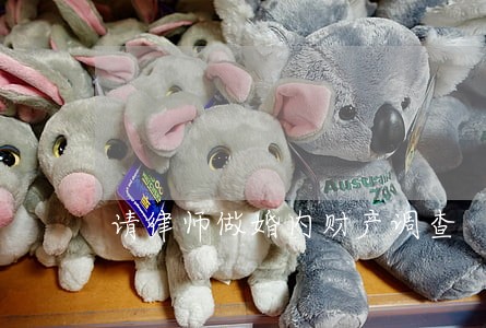 请律师做婚内财产调查 请律师做婚内财产调查