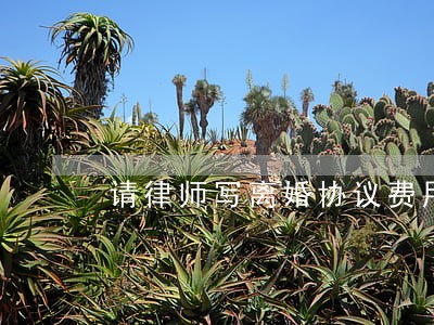 请律师写离婚协议费用 请律师写离婚协议费用