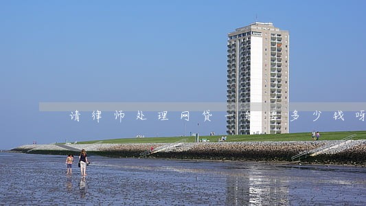 请律师处理网贷一般要多少钱呀 请律师处理网贷一般要多少钱呀