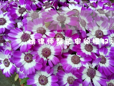 请律师帮忙审阅授权证明 请律师帮忙审阅授权证明