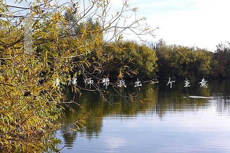 请律师帮我出一个主意 请律师帮我出一个主意