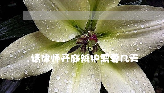 请律师开庭辩护需要几天 请律师开庭辩护需要几天