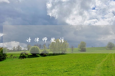 请律师微信 请律师微信