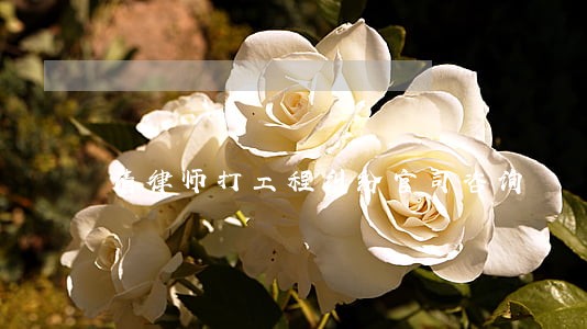 请律师打工程纠纷官司咨询