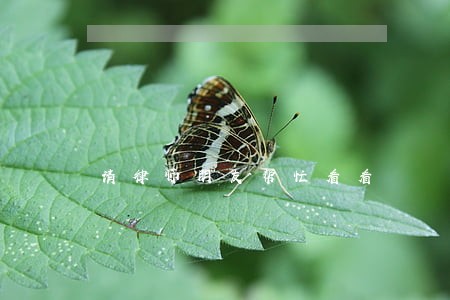 请律师朋友帮忙看看 请律师朋友帮忙看看