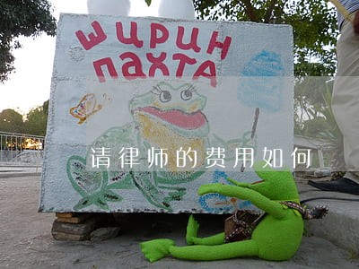 请律师的费用如何 请律师的费用如何