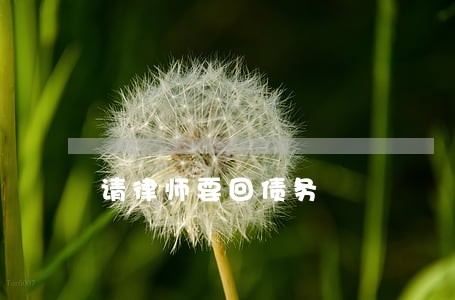 请律师要回债务 请律师要回债务
