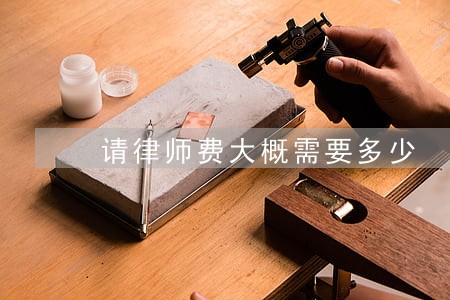 请律师费大概需要多少 请律师费大概需要多少