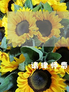 请律师费用多少钱口碑推荐 请律师费用多少钱口碑推荐