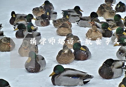 请律师起诉一般要多久才开庭 请律师起诉一般要多久才开庭