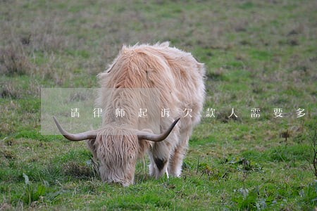 请律师起诉欠款人需要多少钱
