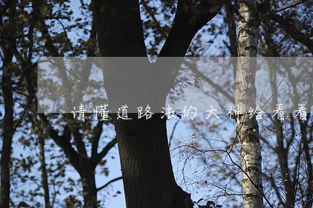 请懂道路法的大神给看看是否违法 请懂道路法的大神给看看是否违法