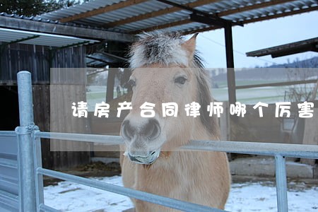请房产合同律师哪个厉害 请房产合同律师哪个厉害