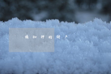 请扣押的财产