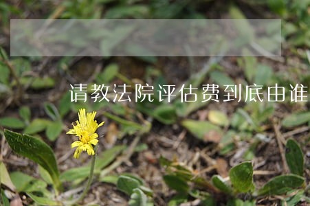 请教法院评估费到底由谁负担 请教法院评估费到底由谁负担