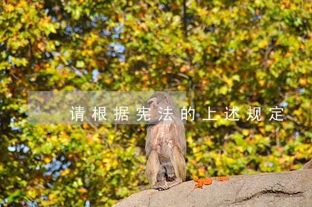 请根据宪法的上述规定