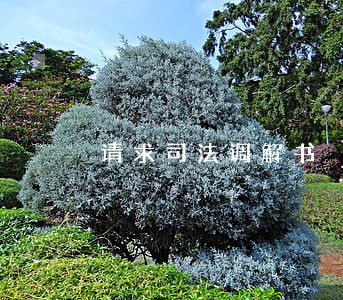请求司法调解书 请求司法调解书