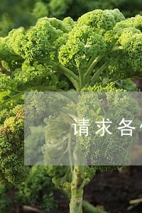 请求各位领导律师帮忙解答一下 请求各位领导律师帮忙解答一下