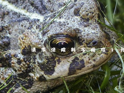 请求法院判令赔偿1元并道歉 请求法院判令赔偿1元并道歉