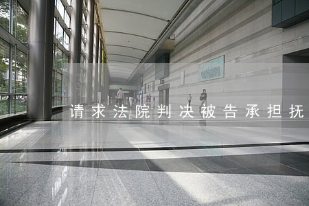 请求法院判决被告承担抚养权 请求法院判决被告承担抚养权
