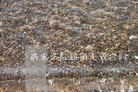 请求法院撤销无效合同