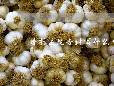 请求法院查封写什么申请书