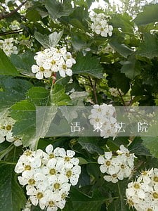 请求法院核查真假证据 请求法院核查真假证据