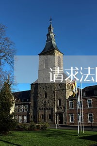 请求法院确认中标无效 请求法院确认中标无效