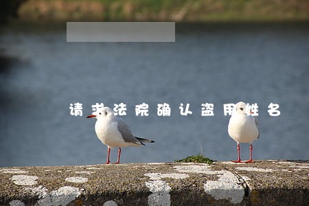 请求法院确认盗用姓名 请求法院确认盗用姓名
