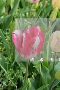 请求法院确认签名假冒 请求法院确认签名假冒