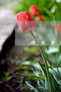 请求法院解除冻结款 请求法院解除冻结款