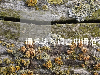 请求法院调查申请范本 请求法院调查申请范本