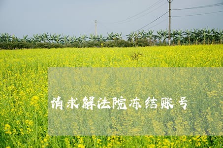 请求解法院冻结账号 请求解法院冻结账号