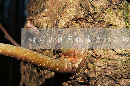 请求返还原物属于什么诉讼 请求返还原物属于什么诉讼