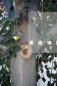 请法律顾问多少钱一小时