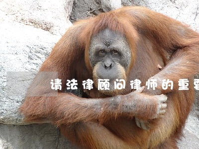 请法律顾问律师的重要性 请法律顾问律师的重要性