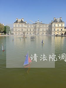请法院调查案情的申请书 请法院调查案情的申请书