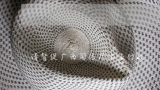 请督促广西司法厅依法行政 请督促广西司法厅依法行政