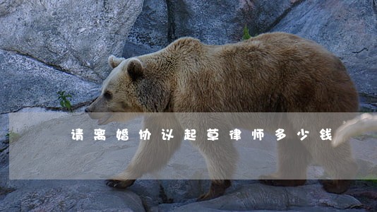 请离婚协议起草律师多少钱 请离婚协议起草律师多少钱