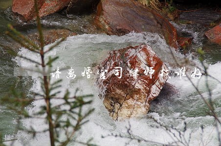请离婚官司律师找谁好 请离婚官司律师找谁好