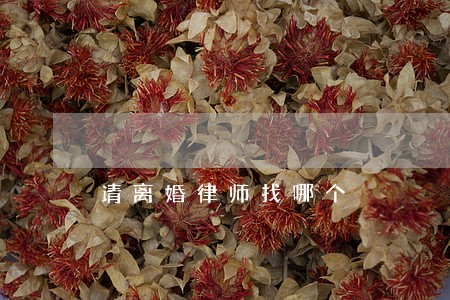请离婚律师找哪个