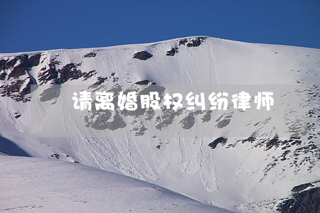请离婚股权纠纷律师 请离婚股权纠纷律师