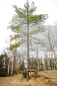 请离婚诉讼律师收费标准 请离婚诉讼律师收费标准