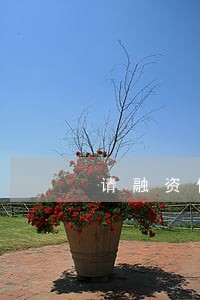 请融资借款合同律师排行 请融资借款合同律师排行