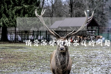 请资深律师解答我的问题 请资深律师解答我的问题