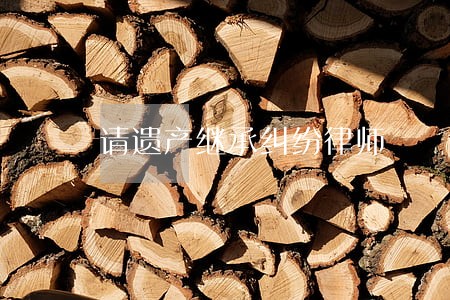 请遗产继承纠纷律师 请遗产继承纠纷律师